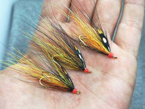 Gold bodied willie - 3,