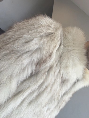 Rare saga fox silver - fox,