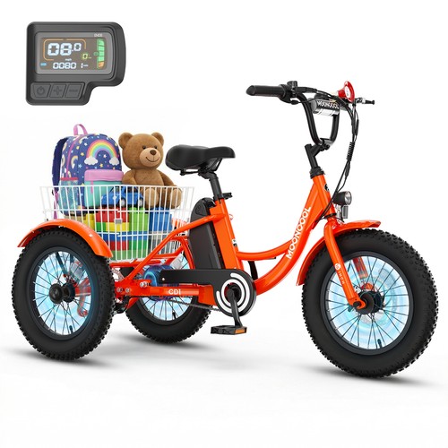 Naizea electric trike 250w - electric,