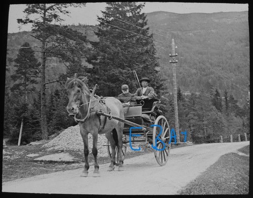Photo norway boy pony - norway, in