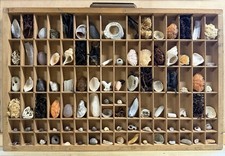 Loaded Vintage Printers Tray