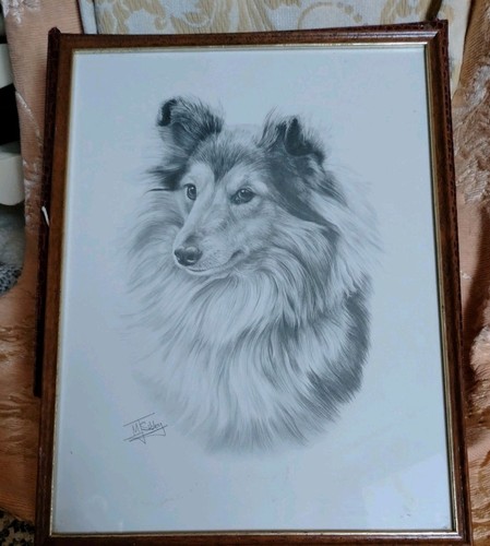 Rough collie dog - dog, artist