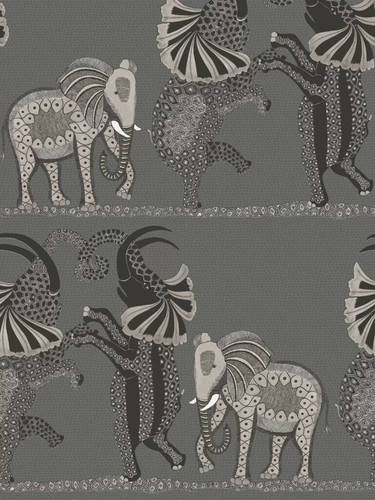 Cole son safari - &, dance