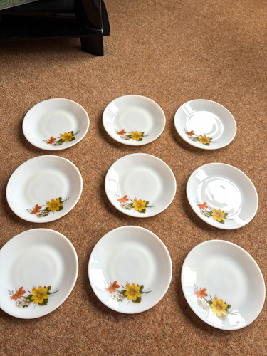 Vintage 1970 autumn glory - 1970’s,