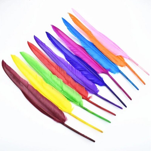 35cm goose feathers many - 30-35cm,