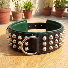 Studded Black Leather Dog