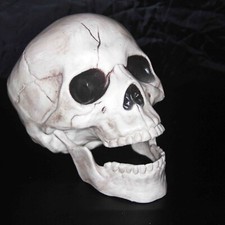 Halloween Gothic Plastic Human