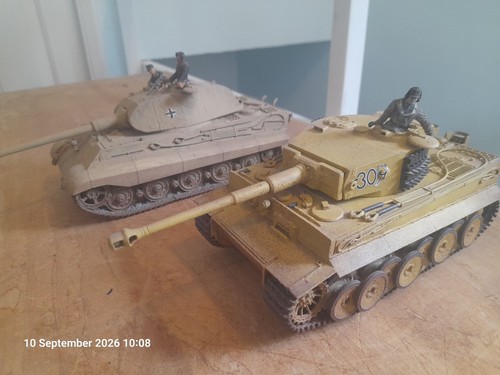 Built king tiger - tiger, and