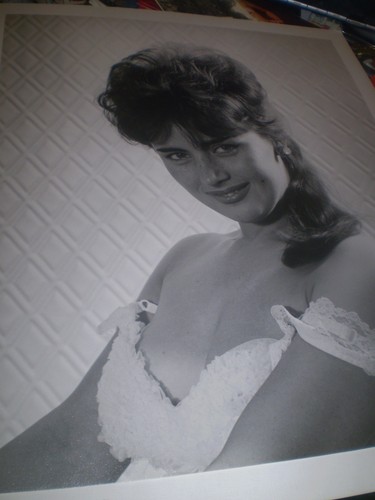 1960 original sophia dawn - ,