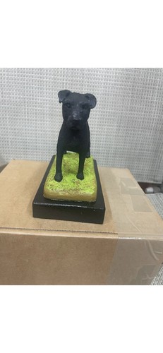 Black working terrier - black,