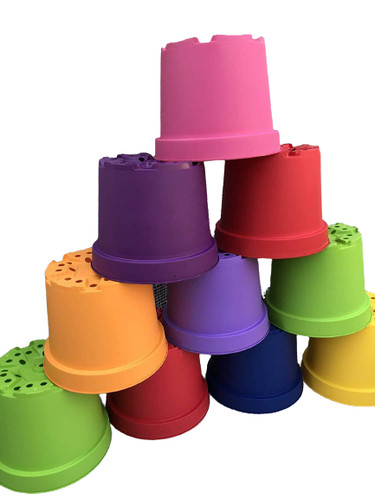 Coloured litre plant - x,