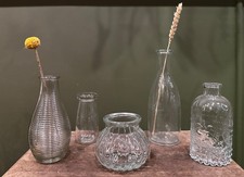 5x Glass Bud Vases | Fresh and