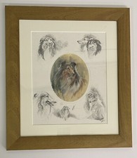 Mick Cawston - Rough Collie -