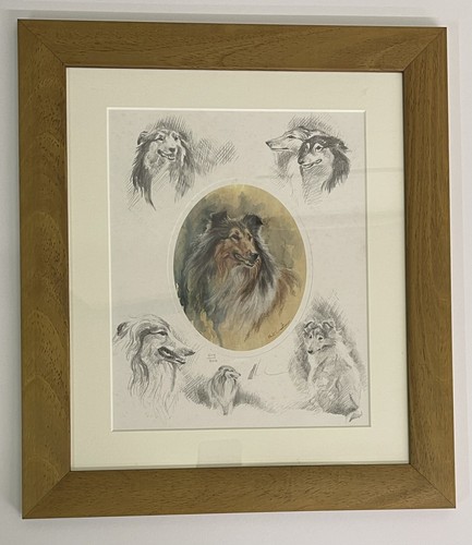 Mick cawston rough collie - -,