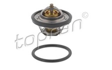Engine Coolant Thermostat Fits