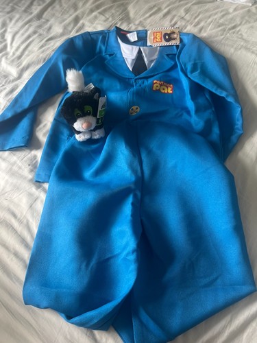 Postman pat fancy dress - fancy,