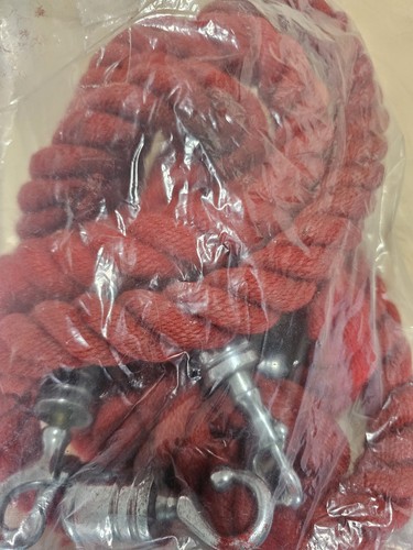 Twisted red queue barrier - queue,