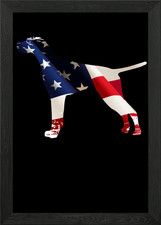 German Shorthair Pointer