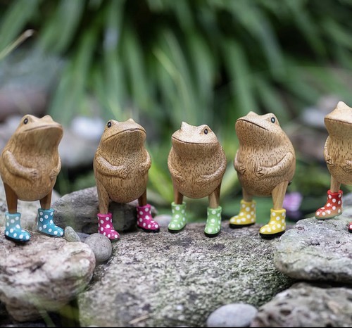 Dcuk jolly frogs - frogs, welly