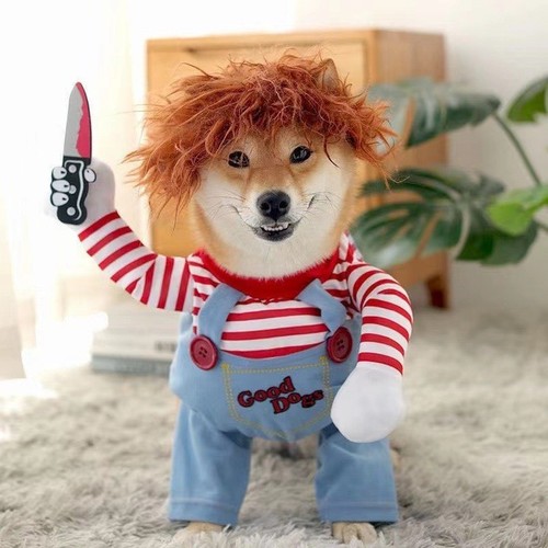 Halloween chucky dog cat - dog,