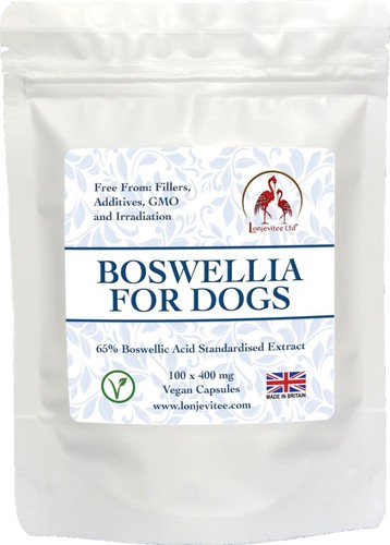 Boswellia for dogs - boswellia,