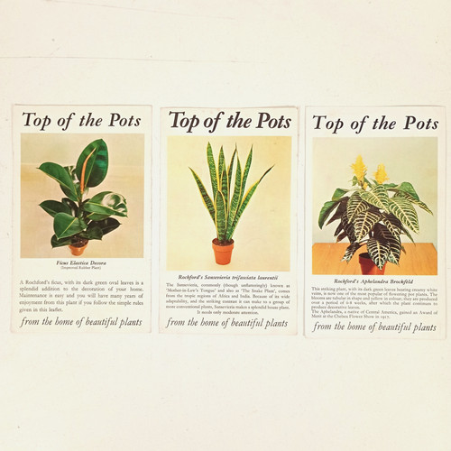 Vintage houseplant prints - vintage,