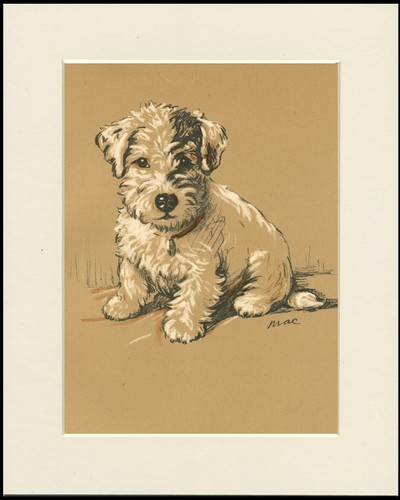 Jack russell terrier vintage - russell,
