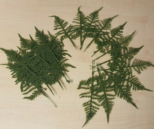 Artificial button hole fern - artificial,