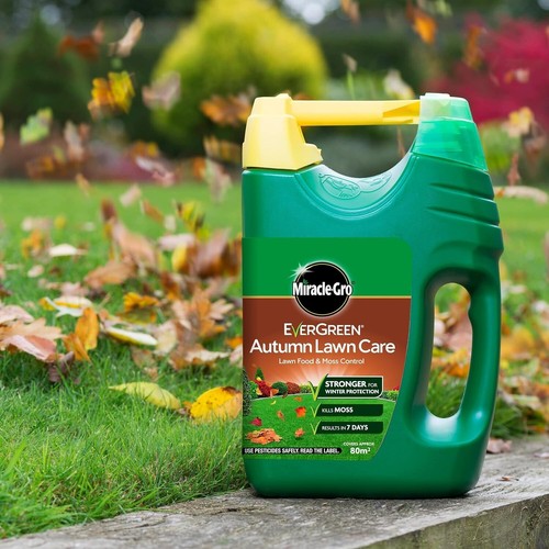 Evergreen autumn lawn care - evergreen,