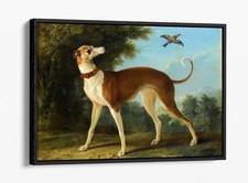 GREYHOUND & BIRD, JEAN