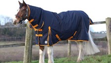 100G Leightweight 600d Waterproof Breathable Horse Turnout Rug Ripstop Combo