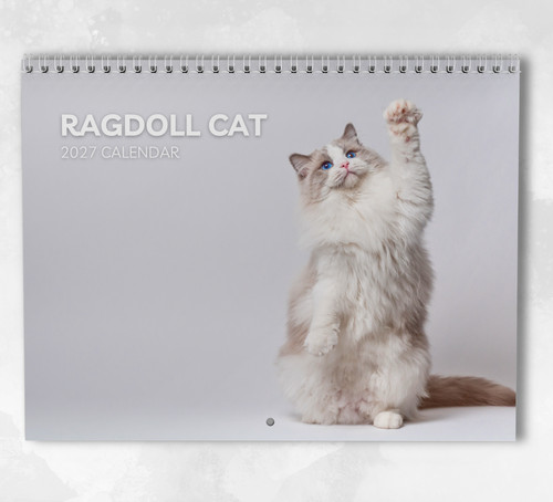 Ragdoll cat calendar 2027 - calendar,