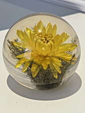 Large Hafod Grange 1998 Lucite