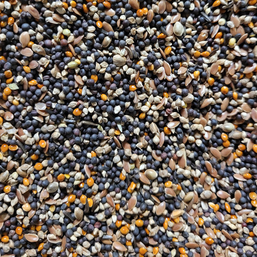 Canary conditioning seed - conditioning,