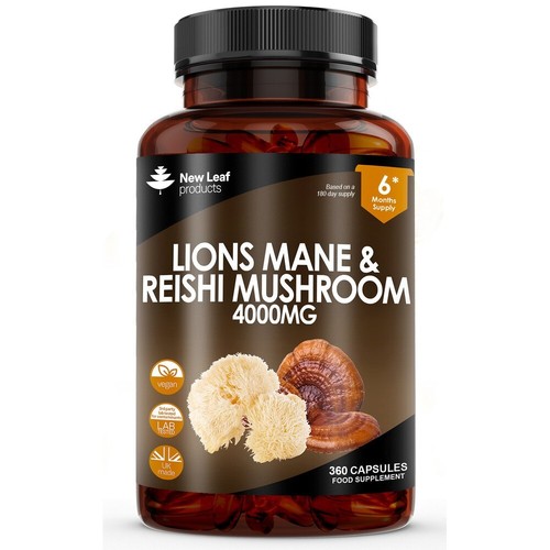 Lions mane reishi mushroom - mane, &