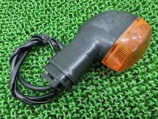 Right Rear Turn Signal for