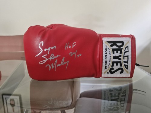 Red cleto reyes boxing glove - boxing,