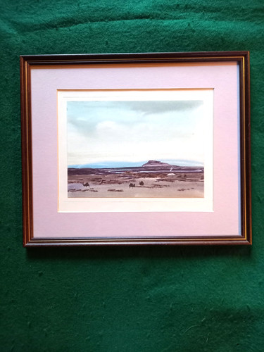 Framed mongolian watercolour - framed,