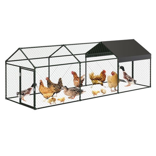Large 120 walk - 120", chicken