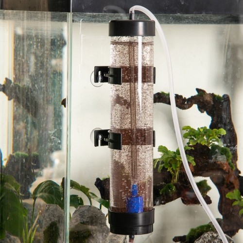 Artimia brine egg - egg, shrimp