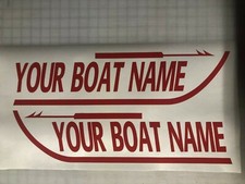 BOSTON WHALER style custom