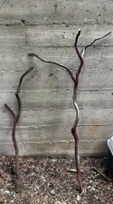 Two Large Manzanita Branches