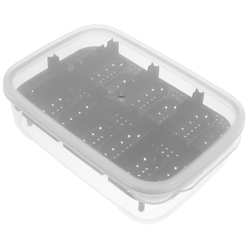 Reptile incubation egg - reptile,