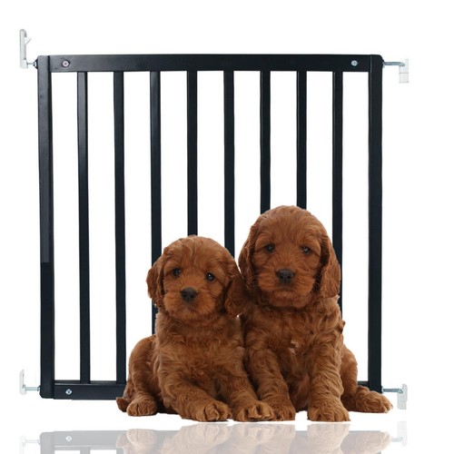 Bettacare wooden dog - bettacare,