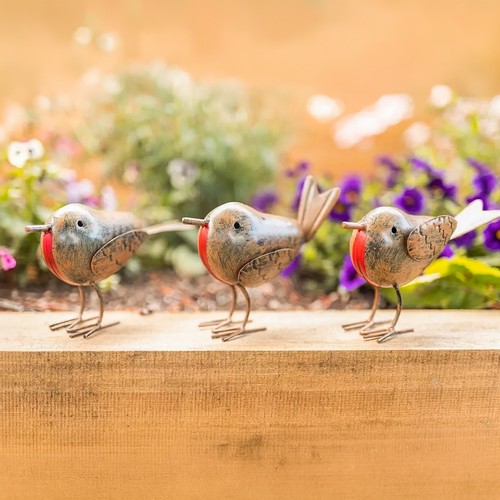 Robin garden ornament set 3pc - robin,
