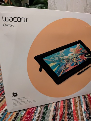 Wacom cintiq professional - 16,