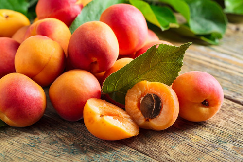 Manchurian apricot fruit - 5,