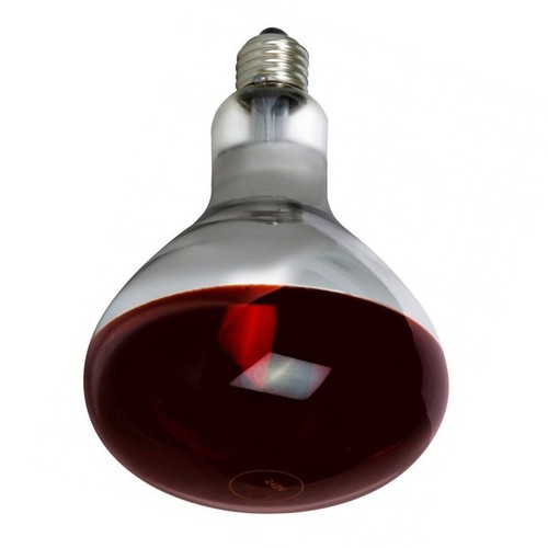 Infra red heat bulb lamp - bulb, ruby
