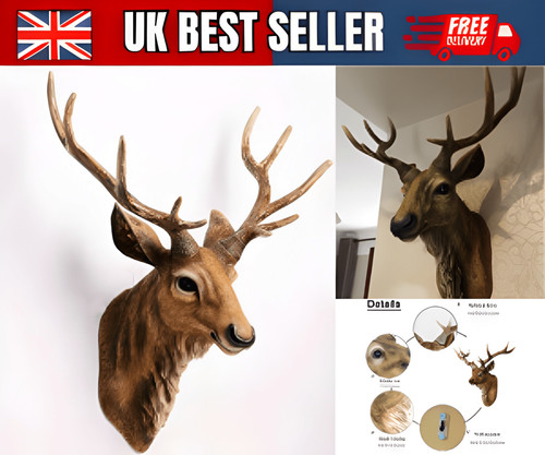 Stags head wall mounted - stags, real
