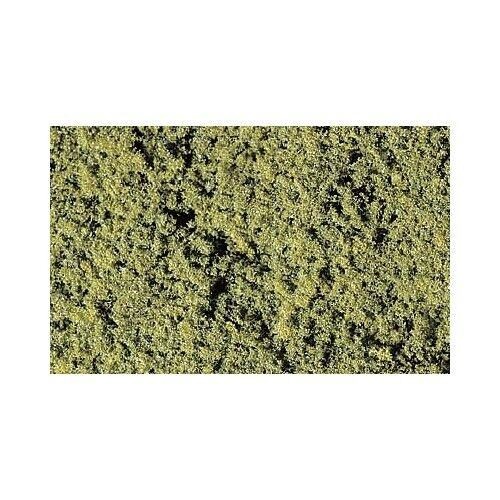 Medium green foliage - medium,
